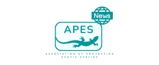 APES Newsroom