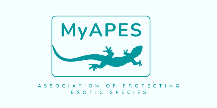 MyAPES Portal Updates: Exciting Changes Ahead!